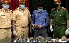 Hà Nội: Nhân viên đường sắt vận chuyển thuê động vật quý hiếm