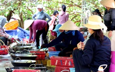 Người dân miền biển Thừa Thiên Huế làm xuyên trưa, chế biến hàng tấn cá gửi vào TP.HCM