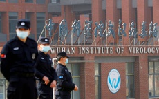 WHO kêu gọi điều tra các phòng thí nghiệm ở Vũ Hán