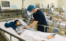 Chỉ trong 2 tháng, gần 20 trẻ phải nhập viện do viêm não Nhật Bản, 70% bị di chứng nặng