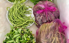 Trước giãn cách 20 ngày, mẹ đảm Sài Gòn "nhanh tay" trồng đủ loại rau, bây giờ "tốt um" ăn thoải mái lại tiết kiệm tiền