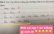 Bài tập Tiếng Việt lớp 1 đặt câu có vần "iêng", cô giáo đọc xong chịu thua với độ điệu của học trò