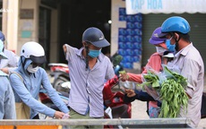 Giữa cơn “bão giá”, anh nông dân mất 2 tay vẫn bán rau sạch siêu rẻ cho bà con Đà Nẵng