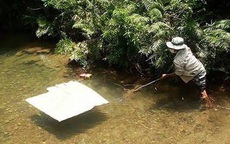 Đi hái sim, 3 học sinh ở Hà Tĩnh đuối nước tử vong
