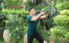 Diễn viên Lý Hùng chăm sóc khu vườn xanh mướt trong biệt thự 700m2
