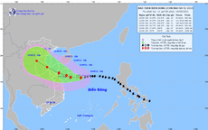 Thông tin mới nhất về bão số 5: Giật cấp 12 hướng vào miền Trung, Quảng Trị mưa to từ đêm nay