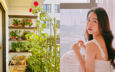 Huỳnh Hồng Loan chia sẻ thời điểm tưới nước cho hoa hồng để hoa nở rực rỡ như ban công nhà nữ diễn viên