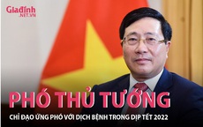 Phó Thủ tướng chỉ đạo ứng phó với dịch bệnh trong dịp Tết Nguyên đán 2022