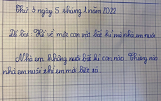 Giáo viên yêu cầu tả con vật đang nuôi trong nhà, cậu bé viết 2 dòng, đọc xong mà tức giùm cho cô