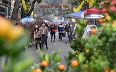 Chợ hoa Tết Hà Nội: Từ chợ Cầu Đông xưa đến phố Hàng Lược bây giờ