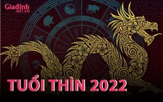 INFORGRAPHIC: Tử vi tuổi Thìn năm Nhâm Dần 2022