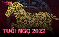 INFORGRAPHIC: Tử vi tuổi Ngọ năm Nhâm Dần 2022