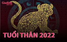 INFORGRAPHIC: Tử vi tuổi Thân năm Nhâm Dần 2022