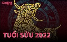 INFORGRAPHIC: Tử vi tuổi Sửu năm Nhâm Dần 2022