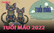 INFORGRAPHIC: Tử vi tuổi Mão năm Nhâm Dần 2022