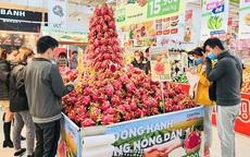 Thanh long chất núi trong siêu thị, mấy khi được ăn hàng xịn giá rẻ