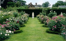 Khu vườn đẹp hơn cổ tích của người được phong danh là "Vĩ nhân hoa hồng của thế giới"