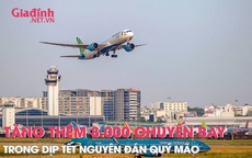 Tăng thêm 8.000 chuyến bay trong dịp Tết Nguyên đán Quý Mão