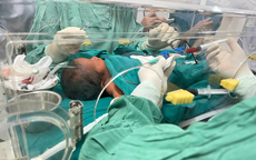 Thay máu toàn phần, bác sĩ Hải Phòng cứu bé trai sơ sinh 3 ngày tuổi