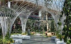 Cận cảnh khu vườn hơn 6.000m2 ở sân bay quốc tế hiện đại nhất Qatar