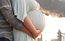 Ô nhiễm tiếp cận thai nhi và làm giảm số lượng tinh trùng trong tương lai của các bé trai