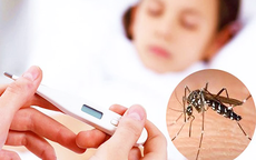 Chuyên gia chỉ rõ 7 biến chứng đáng sợ do sốt xuất huyết gây ra