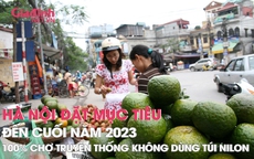 Hà Nội đặt mục tiêu đến cuối năm 2023, 100% chợ truyền thống không dùng túi nilon
