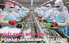Xuất khẩu thủy sản Việt Nam lần đầu tiên đạt 11 tỷ USD
