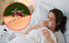 3 sai lầm phổ biến người bị sốt xuất huyết dễ mắc phải khiến bệnh trầm trọng hơn