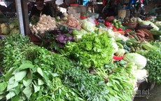 Hà Nội: Giá rau xanh tăng gấp đôi, 'chi phí đắt ngang thịt cá'