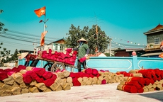 Hà Nội: Nhộn nhịp làng nghề làm hương ngày cận Tết