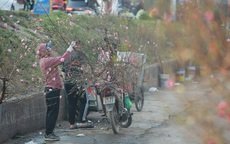 Danh sách 91 điểm chợ hoa xuân của Hà Nội phục vụ Tết Nguyên đán 2023