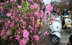 Năm đầu ăn Tết ở nhà chồng, mẹ nói một câu khiến tôi nhớ mãi