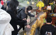 Xoa mòn tượng "thần hổ" ở chùa Hương Tích cầu hết bệnh