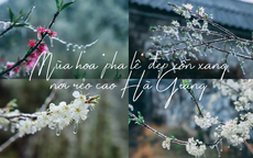 Mùa hoa “pha lê” đẹp xốn xang nơi rẻo cao Hà Giang