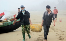 Ngư dân Hà Tĩnh vớt "lộc biển" giữa thời tiết giá rét