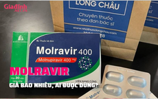 MOLNUPIRAVIR: Giá bao nhiêu và những ai được dùng?