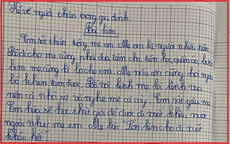 Học sinh tiểu học làm văn tả mẹ đúng chuẩn ‘nóc nhà’, mơ ước công việc tương lai gây ngỡ ngàng