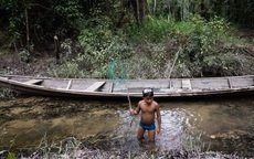 Tìm thấy hai bé trai mất tích trong rừng Amazon sau 4 tuần