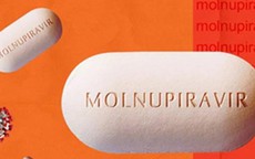 Để dùng thuốc Molnupiravir điều trị COVID-19, F0 cần phải biết những điều này