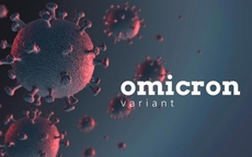 Người từng nhiễm biến thể Omicron liệu có nguy cơ cao tái nhiễm Covid-19?
