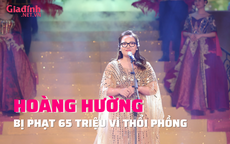 Hoàng Hường bị xử phạt 65 triệu đồng 