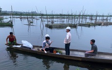Thừa Thiên Huế: Hàng chục tấn cá lồng bất ngờ chết hàng loạt, dân "khóc ròng"