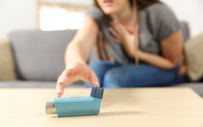 Người Việt xa xứ và nỗi niềm trăn trở bởi căn bệnh hen phế quản dai dẳng