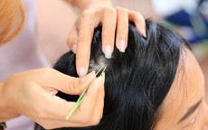 Sự thật về tóc bạc sớm, đây là 5 lý do không nên nhổ nếu không muốn bị hói đầu
