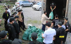 Hành trình triệt phá đường dây buôn bán thuốc nổ số lượng "khủng" tại Quảng Bình