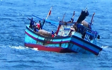 6 thuyền viên rơi xuống biển sau khi bị tàu cá khác đâm chìm 