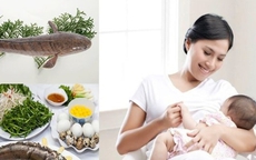 Bà đẻ ăn được cá gì để tốt cho sức khỏe sau sinh?
