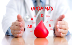 Bất ngờ về các nhóm máu A, B, O, AB: Nhóm máu của bạn quyết định những bệnh bạn có thể mắc phải!