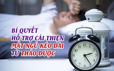 Bí quyết hỗ trợ cải thiện mất ngủ kéo dài từ thảo dược